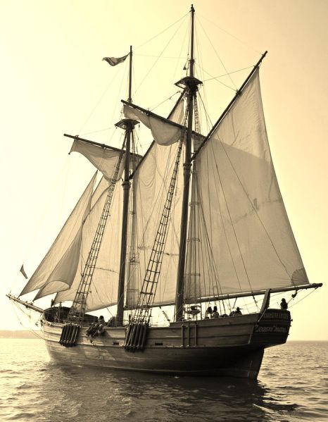 File:Ship3.jpg