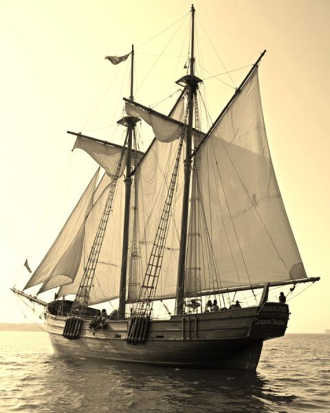 File:Ship3.jpg